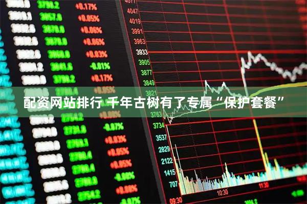 配资网站排行 千年古树有了专属“保护套餐”
