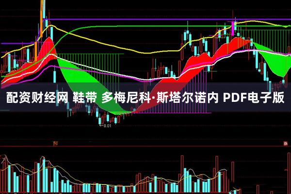 配资财经网 鞋带 多梅尼科·斯塔尔诺内 PDF电子版
